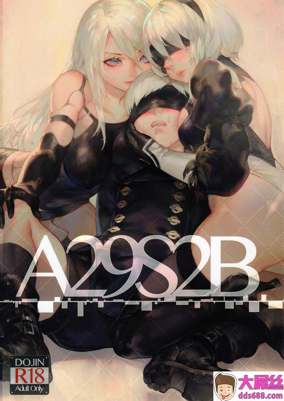 A29S2B