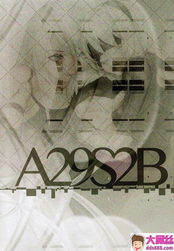 A29S2B