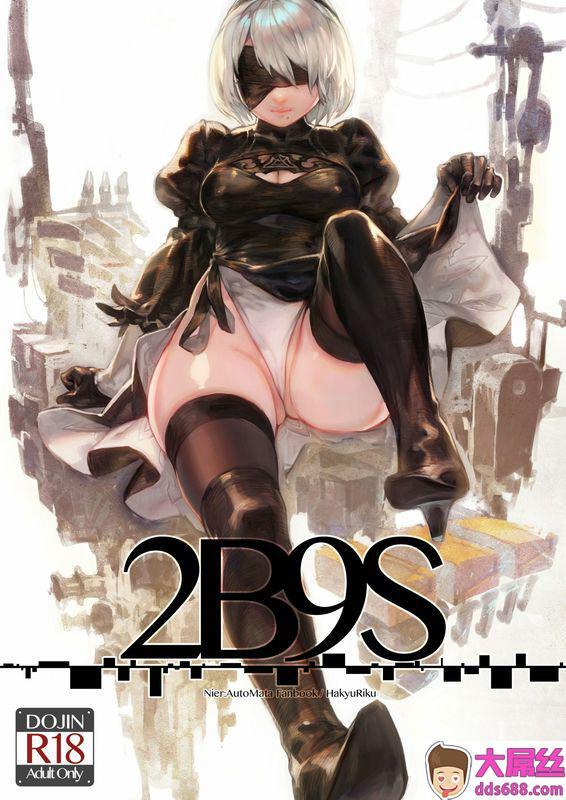 2B9S